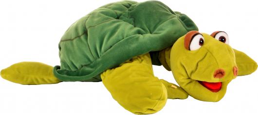 Korytnačka Aristoteles